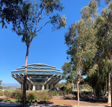 Ucsd Aesthetic, Ucsc Campus Aesthetic, Ucsd College, Ucsd Campus Aesthetic, University Of San Diego Aesthetic, Ucsd College Aesthetic, Ucsb Campus, Ucsd Campus, Uc Berkeley Campus