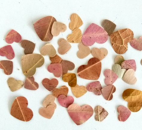 Leaf Confetti, Heart Table, Heart Confetti, Wedding Confetti, Seasons Of The Year, Eucalyptus Leaves, Chic Wedding, Etsy Australia, Rustic Wedding