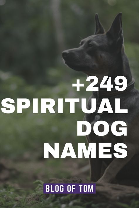 We’ve compiled a list of 249+ spiritual dog names that covers a wide range of preferences including unique, cute, catchy ideas! Unique Pet Names, Female Dog Names Unique, Boho Dog Names, Aesthetic Dog Names, Unique Dog Names, Witchy Dog Names, Male Dog Names List, Goth Dog Names, Rustic Dog Names