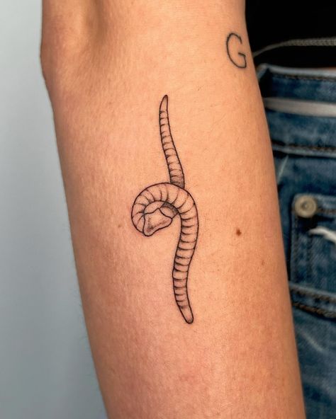 woim 🔖 worm tattoo, fineline tattoo, #idahofallstattoo #pocatellotattoo #rexburgtattoo #twinfallstattoo #boisetattoo Woodlice Tattoo, Earth Worm Tattoo, Roly Poly Tattoo, Rolly Polly Tattoo, Worm Tattoo, Woodlice, Red Worms, Fineline Tattoo, Twin Falls