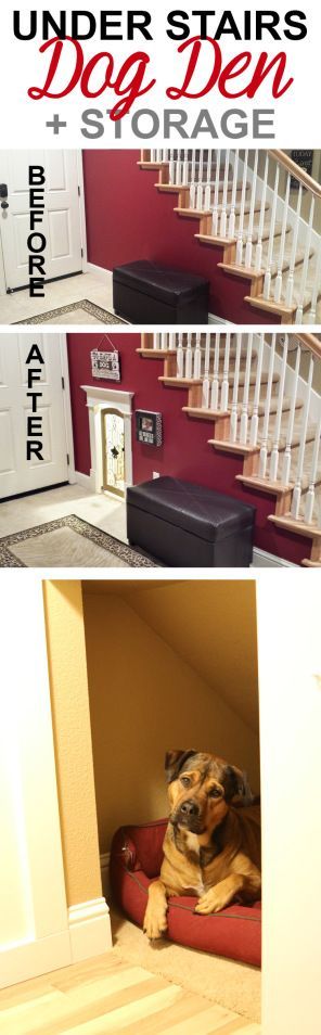 Add storage & a dog room underneath the staircase. Closet Into Dog Room, Den Under Stairs, Under The Stairs Dog House, Stairs Dog House, Under Stairs Dog House, Dogs Room, Storage Closets, Dogs House, Dog Den