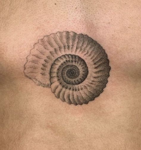 Sea Shell Tattoo, Shell Tattoo, Swirl Tattoo, Spiral Tattoos, Seashell Tattoos, Shell Tattoos, Tatoo Inspiration, Sea Tattoo, Witch Tattoo