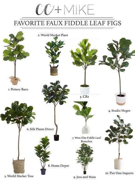 10 Beautiful Faux Fiddle Leaf Fig Trees and Plants for Home Decor Plants For Home Decor, Fiddle Leaf Tree, Ginger Lily, Fig Trees, Plants For Home, Fiddle Fig, Fake Plants Decor, Fiddle Leaf Fig Tree, Plant Supplies