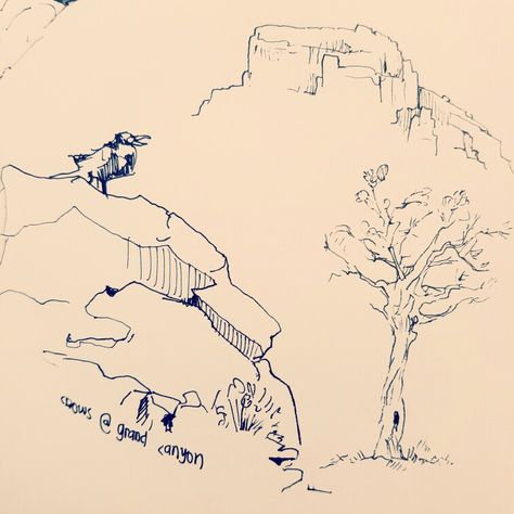 Grand Canyon Sketch, Canyon Painting, Journal Goals, Deer Creek, Pen And Ink, Grand Canyon, Concept Art, Deer, Art Painting