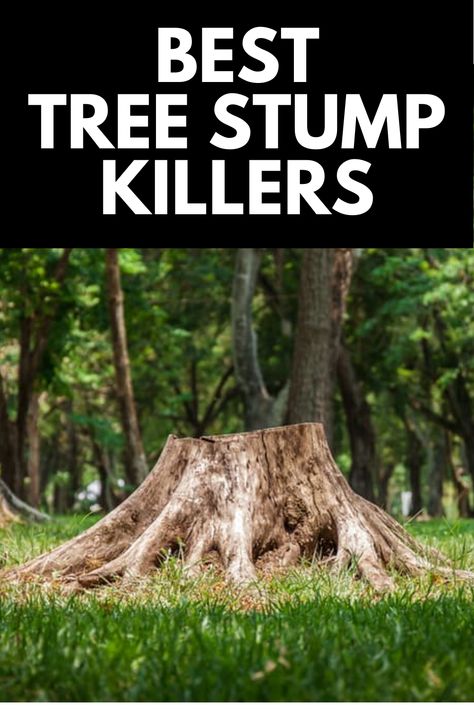 In this article, we provide an in-depth buying guide and review of the top 5 best tree stump killers for trouble-free extraction! Read more at OwnTheYard.com! Tree Stump Flower Bed, How To Get Rid Of Tree Stumps Fast, Tree Stump Removal Diy, How To Remove A Tree Stump, How To Remove Tree Stumps Fast, Tree Root Removal, Removing Stumps Diy, Kill Tree Stump, Tree Stump Killer