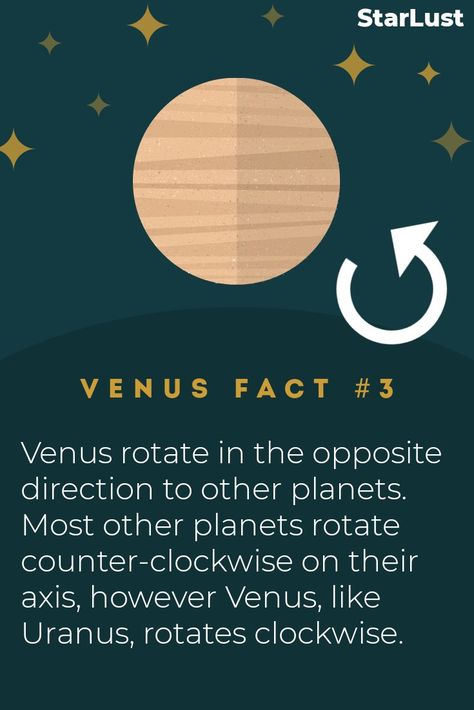 Venus rotate in the opposite direction to other planets. Most other planets rotate counter-clockwise on their axis, however Venus, like Uranus, rotates clockwise. #venus #fact #space #kids #astronomy Facts About Venus Planet, Venus Planet Project, Venus Planet Facts, Preschool Planets, Venus Facts, Science 2nd Grade, Planet Facts, Astronomy For Kids, Space Unit Study