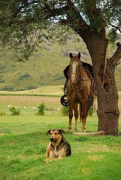 Saddled Horse, Country Dog, Retirement Life, Farm Dogs, Horses And Dogs, Ranch Life, Rural Life, Country Farm, Donkeys