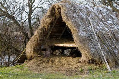 Survival Shelter Long Term, Skills Everyone Should Know, Fire Area, Bushcraft Shelter, Survival Essentials, Portable Water Filter, Survival Shelter, School Survival, Survival Life