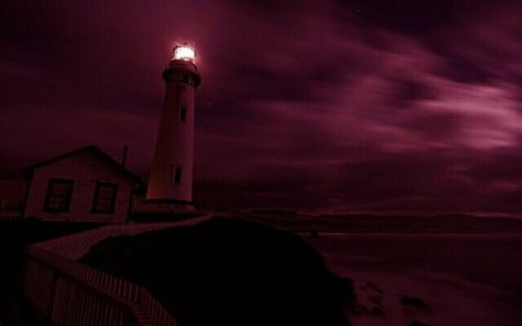 . #rose #dark #maroon #sea #red #colors #instafollow #F4F #color Maroon Aesthetic, Burgundy Aesthetic, Rose Dark, Color Splash Photography, Pink Photography, Dark Magenta, Baby Pink Aesthetic, Fallout New Vegas, Random Ideas