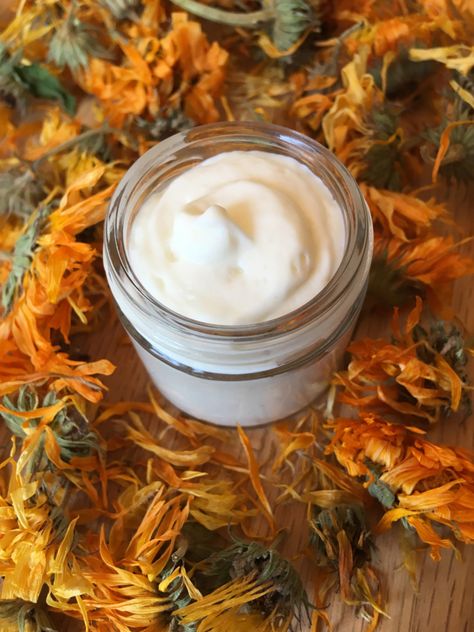 Calendula Lotion, Calendula Tea, Calendula Salve, Calendula Cream, Herbal Education, Diy Soap Recipe, Herbal Remedies Recipes, Lotion Recipe, Mountain Rose Herbs