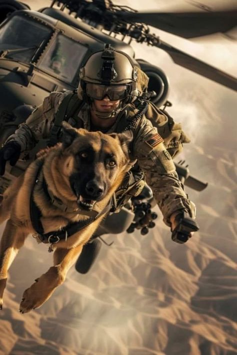 Military Dogs Soldiers, Sheperd Dogs, Best Friend For Life, Dog Soldiers, German Sheperd Dogs, Dog Hero, Belgian Malinois Dog, K9 Dogs, Military Aesthetic