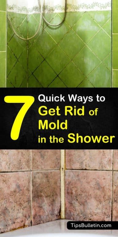 Bathroom Mold, Shower Mold, Shower Grout, Remove Mold, Deep Cleaning Hacks, Black Mold, Mold In Bathroom, Cleaning Mold, Stain Removers