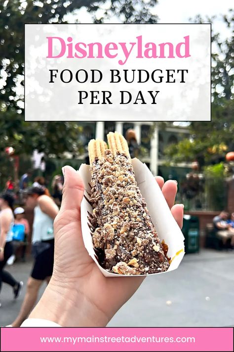 Disneyland Food Budget: How Much you'll Spend Each Day - Disneyland Planning Tips Food In Disneyland, Disneyland Food 2024, Disneyland Budget, Food At Disneyland, Disneyland Dining, Disneyland Vacation Planning, Cheap Snack, Disneyland Planning, Food Budget