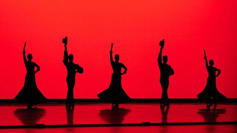 Ensemble Español Spanish Dance Theater performs at the Auditorium Theatre in Chicago. (Courtesy of Ensemble Español) Spain Dance, Spanish Dance, Contemporary Ballet, Spanish Dancer, Alvin Ailey, Ballet Theater, American Ballet Theatre, Male Dancer, Theatre Stage