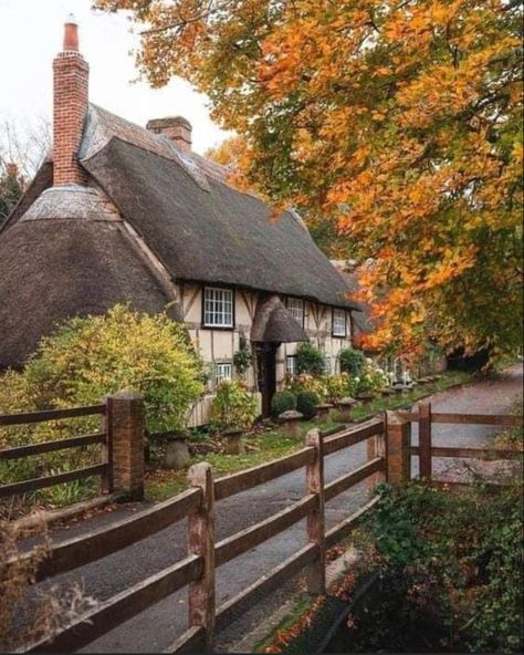 James Lloyd, Lloyd Cole, British Cottage, English Country Cottages, Pretty Homes, Cotswolds Cottage, English Cottage Decor, Fairytale House, English Cottages