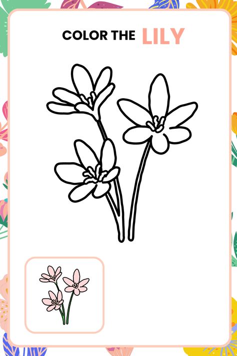 free flower coloring page for kids, flower coloring page for kids, flower coloring book pages, flowers a flower coloring book, bloom a flower coloring book, free flower coloring book, coloring book activities, Sunflowers And Tulips, Flower Worksheet, Basic Drawing For Kids, Coloring Worksheets For Kindergarten, Beautiful Wallpaper Images, Roses And Daisies, Fun Worksheets For Kids, Simple Drawings, Different Types Of Flowers