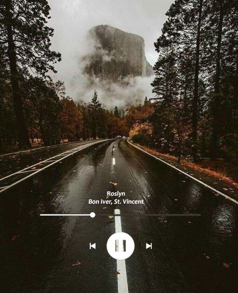 Fall Phone Aesthetic, Twilight Collage, Roslyn Bon Iver, Halloween Aesthetic Spooky, Calm Wallpapers, Life Playlist, Calm Scenery, Fall Halloween Aesthetic, Bella Swan Aesthetic