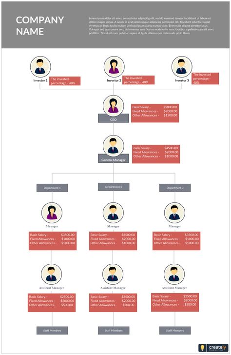 Business Organizational Structure, Organisation Board, Organisation Chart, Organizational Chart Design, Company Structure, Chart Infographic, Organization Chart, Org Chart, Classroom Birthday