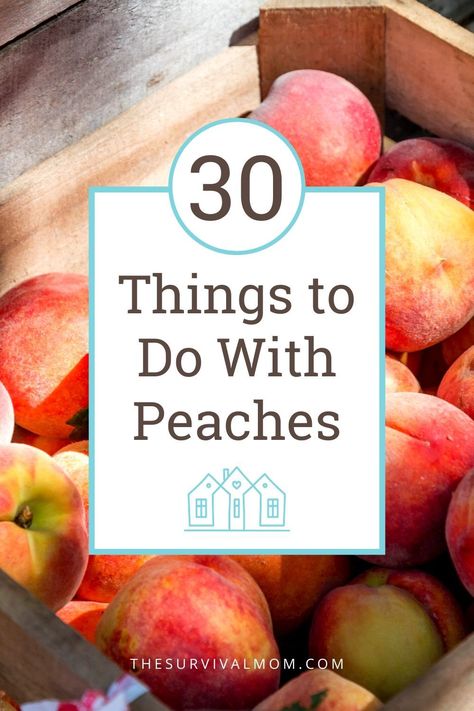 30 Things to do With Peaches via The Survival Mom -- When the peach season is at its height, we peach lovers want to know, what are some different things to do with peaches, past peach pie, and peach preserves! #peaches #peachpreserves #canning #foodstorage #peachrecipes #peach #TheSurvivalMomBlog Brown Sugar Peaches, Fresh Peach Recipes, Canning Peaches, Peach Muffins, Peach Dessert Recipes, Peach Preserves, Peach Desserts, Peach Jam, Floral Comforter