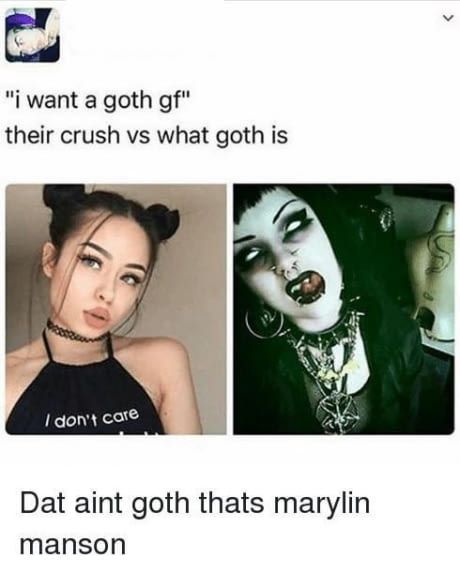 Tfw no big tiddy goth gf Goth Humor, Goth Memes, Goth Gf, Goth Subculture, Emo Memes, Social Experiment, Alternative Makeup, Goth Girl, Goth Aesthetic