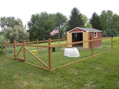 Goat Life, Backyard Dog Area, Goat Fence, Goat Playground, Goat Shed, Goat Shelter, Goat Pen, Mini Goats, Pet Goat