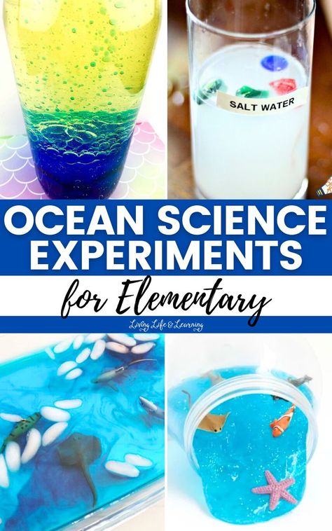 These Ocean Science Experiments for Elementary make homeschool learning about our oceanic friends an unforgettable adventure! Marine Biology Experiments, Science Experiments For Elementary, Ocean Science Experiments, Biology For Kids, Elementary Science Experiments, Biology Experiments, Kids Stem Activities, Chemistry For Kids, Homeschool Science Curriculum