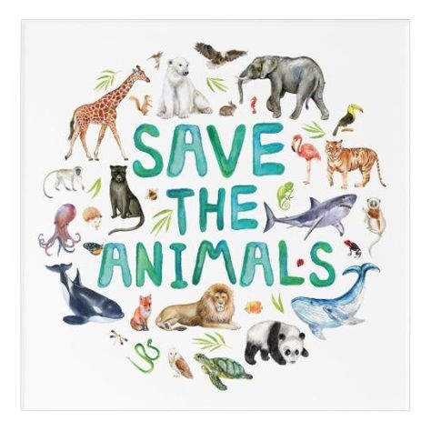 Watercolor Save the Animals for $70.02 - Earth Day Save The Animals Poster, Save Animals Drawing, Endangered Animals Project, Save Animals Poster, Conservation Poster, Animal Day, Animals Poster, Wildlife Day, Vegan Art