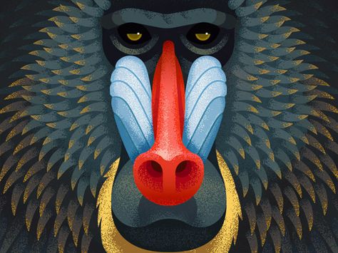 Old World Monkeys: Illustrations by Anano Miminoshvili | Inspiration Grid | Design Inspiration Mandrill Monkey, Monkey Illustration, Mandrill, Monkey Art, Pop Art Wallpaper, Monkey Business, Baboon, Arte Animal, Primates