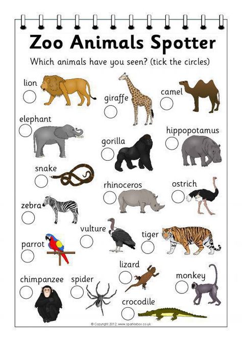 Zoo Animals Spotting Form (SB7888) - SparkleBox Safari Play Ideas, Wild One Activities, Safari Dramatic Play Preschool, African Animals Activities For Kids, Safari Theme Activities, Jungle Dramatic Play, Safari Dramatic Play, Safari Eyfs, Safari Activities For Kids