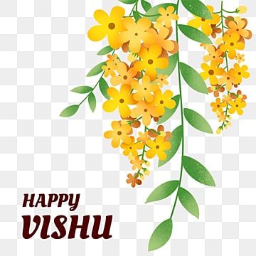 vishu,globeflower,holiday,hinduism,plant,floral,religion,culture,custom,tradition,india,flowers,celebrate,holiday clipart,flowers clipart,plant clipart,floral clipart,religion clipart,culture clipart,festival clipart,illustration,background,card,nature,design,graphic,frame,flower,banner,greeting,celebration,template,blossom,vector,wedding,invitation,spring,summer,label,brochure,decorative,backdrop,art,ornament,beautiful,anniversary,leaf,vintage,decoration,pattern,marriage,party,green,isolated,pr Vishu Festival, Creative India, Happy New Year Text, Freedom Art, Bubble Painting, Happy Birthday Text, Hindu Festival, Holiday Png, Festival Background