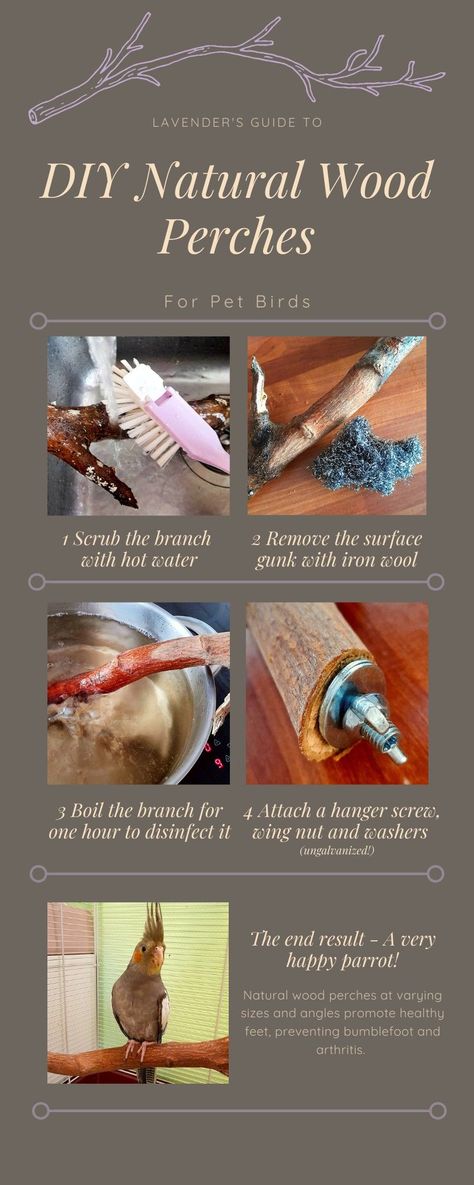 How To Make Bird Perches, Diy Perches For Birds, Bird Perches Homemade, Parrot Perches Diy Ideas, Diy Pet Bird Toys, Diy Bird Perch Branches, Budgie Diy Ideas, Diy Macaw Cage, Budgie Enrichment Diy