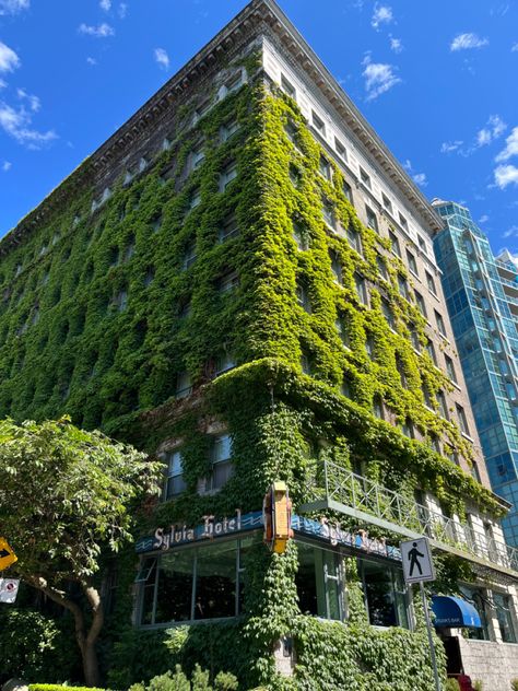 beautiful bright, green vines growing on a unique corner side building Plant City Aesthetic, City Covered In Plants, Green Urban Design, Green Building Aesthetic, Green Vines Aesthetic, Emerald City Aesthetic, City Green Aesthetic, Greenery Building, Green City Aesthetic