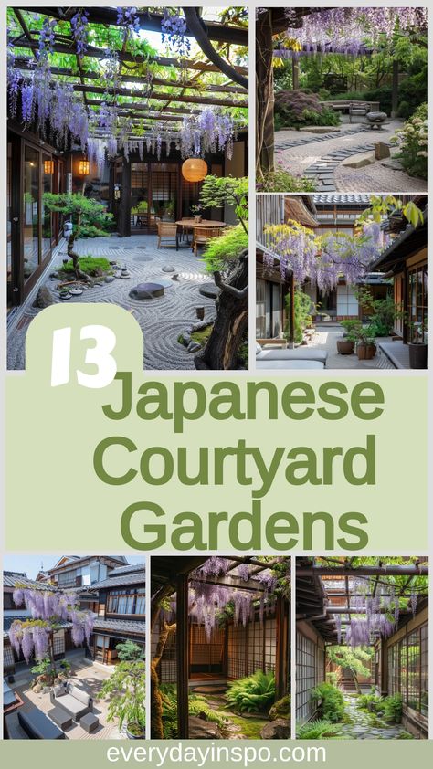 Embrace serenity in these calm Japanese courtyard gardens. Japanese Container Garden, Japanese Maple Tree Landscape, Japanese Courtyard Garden, Maple Tree Landscape, Japanese Garden Backyard, Japanese Courtyard, Small Japanese Garden, Japanese Garden Landscape, Courtyard Gardens