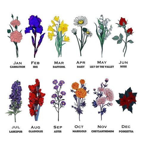 Birth flowers by month Flower Blanket, Birth Month Flowers, Birth Flower, Hacks Diy, Blanket Scarf, Birth Month, Birth Flowers, Daffodils, Fashion Photo