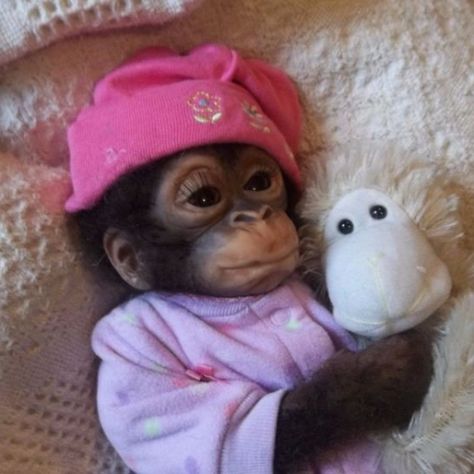 Monkey Pictures, A Monkey, Monkeys Funny, Baby Monkey, Monkeys, Matching Icons, Funny, Pink