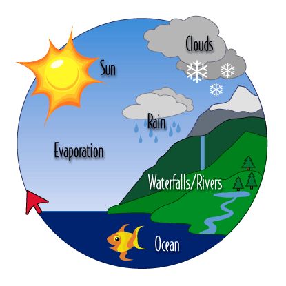 gif Rain Cycle, Water Cycle Project, Hydrological Cycle, Living And Nonliving, Summer Book Club, Water Cycle, Amazing Nature Photos, Home Education, Animated Images