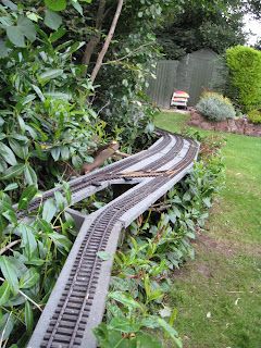 Garden Train, Train Garden, Train Yard, Build A Garden, Garden Railings, Garden Trains, Building Garden, Garden Railroad, Garden Railway