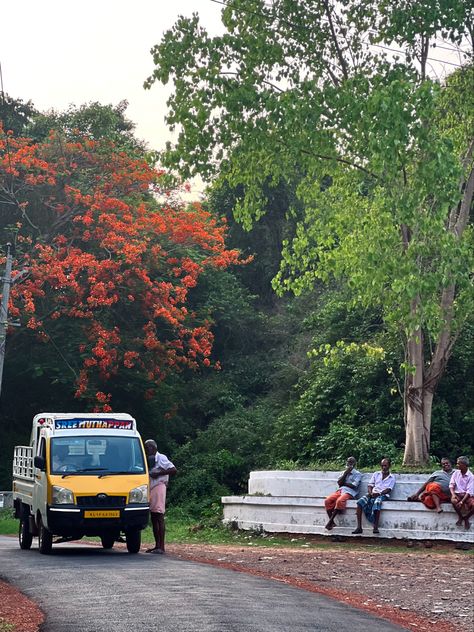 #gulmohar #kerala Kerala, Mural, Travel