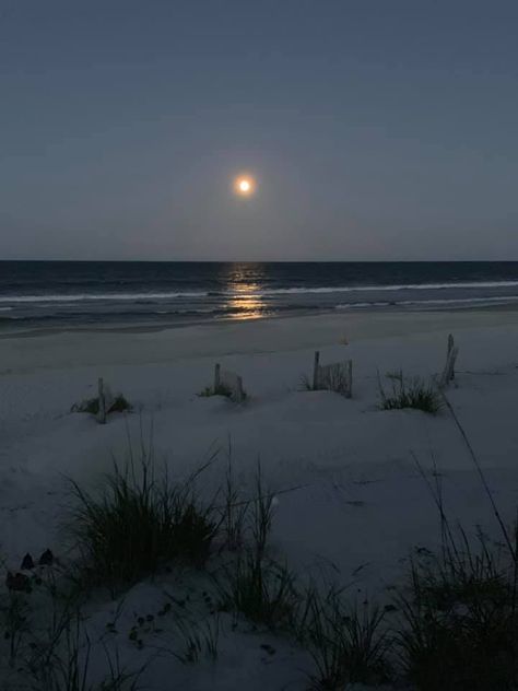 Summer At Night, Beaches At Night, Beach At Night Aesthetic, Night Beach Aesthetic, Beaches Aesthetic, Nature At Night, The Ocean At Night, The Beach Aesthetic, Sea At Night