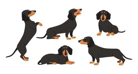 Free vector cute dachshund in different ... | Free Vector #Freepik #freevector #dachshund-dog #dachshund #sausage-dog #dog-set Sausage Dog Cartoon, Sausage Dog Illustration, Dachshund Sitting, Dog Logos, Dachshund Drawing, Dog Sausage, Dachshund Cartoon, Pyrography Ideas, Dachshund Illustration