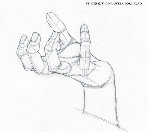 Hand Drawing Reference, Anatomy Sketches, Sketches Tutorial, My Drawings, Hand Sketch, Figure Drawing Reference, Anime Drawings Tutorials, Anatomy Art, Drawing Base