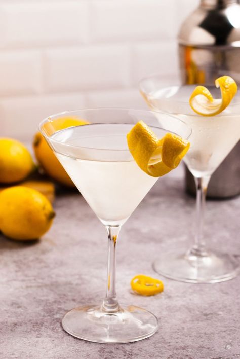 Vodka Martini Recipes, Dry Gin Martini, Martini With A Twist, Best Martini Recipes, Dirty Martini Recipe, Sweet Martini, Martini Recipes Vodka, Gin Martini, Perfect Martini