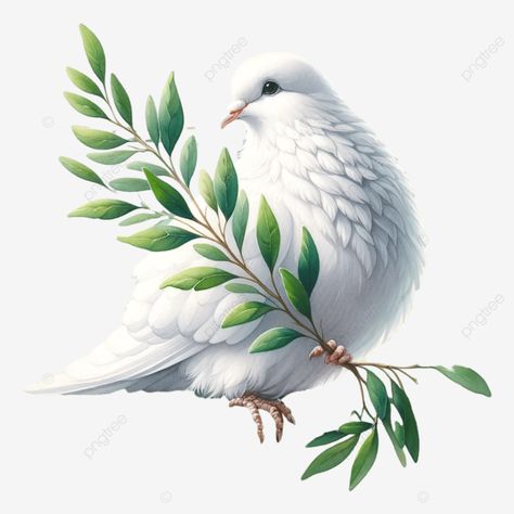 white dove peace dove olive branch illustration white dove peace dove pigeon png Dove Holding Olive Branch, Olive Branch Illustration, Pigeon Png, Dove Olive Branch, Pigeon Illustration, Branch Illustration, Dove With Olive Branch, Dove Peace, Branch Drawing