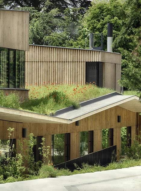 Paul Chevallier School by Tectoniques Earth Sheltered, Living Roofs, Eco Architecture, Wooden Buildings, Green Architecture, Rooftop Garden, Roof Garden, Sustainable Architecture, Roof Design