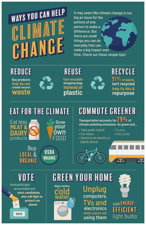 Sustainability Infographic, Infographic Examples, Infographic Layout, Journal Challenge, Awareness Poster, Infographic Poster, Awareness Campaign, Climate Action, Disaster Preparedness