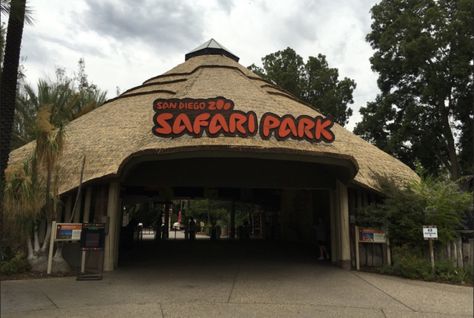 Can you believe you can go on safari right here in SoCal? San Diego Safari Park, San Diego Zoo Safari Park, Park Entrance, Safari Park, San Diego Zoo, San Diego California, California Travel, Tourist Destinations, Best Hotels