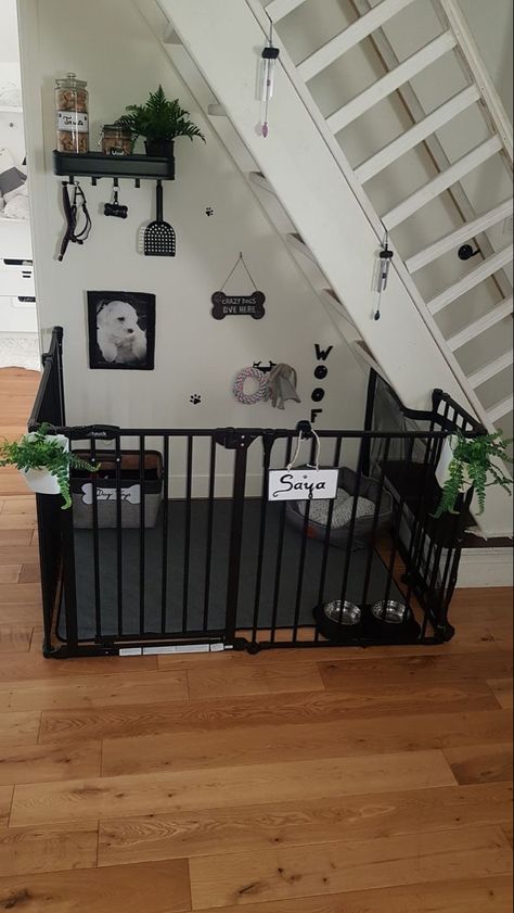 Dog Corner In Bedroom Ideas, Pet Room Decor Ideas, Dog Room In Apartment, Dog Rooms In House Small Spaces, Puppy Corner Ideas Living Room, Dog Section In House, Cat And Dog Room, Puppy Pen Ideas Indoor Small Space, Dog Nessesities