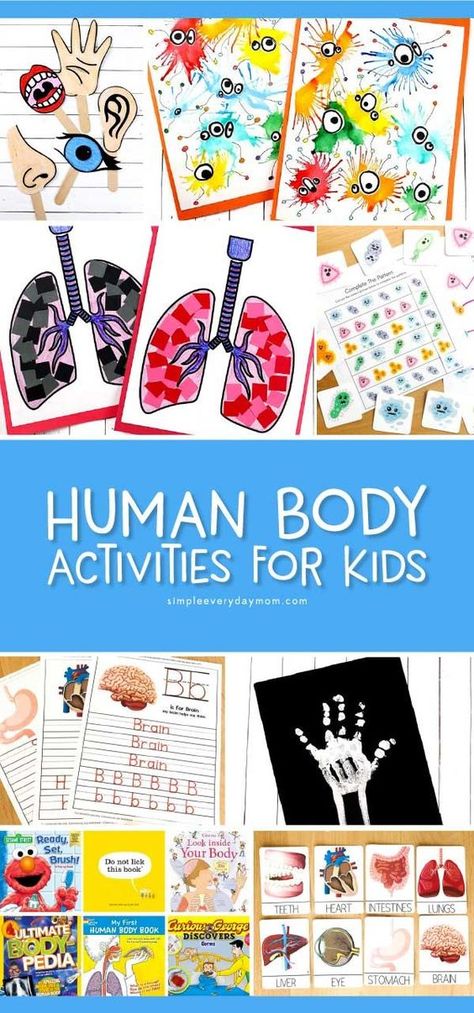 Human Body Activities For Kids | Teaching kids all about their body has never been so interesting and fun! This roundup includes free printables, crafts, art projects and more for preschool and kindergarten. #preschool #kindergarten #earlychildhood #kindergartenworksheets #craftsforkids #kidscrafts #kidsandparenting #teachingkindergarten #prekteacher #artforkids #educationalactivities #learningactivities #ideasforkids #childrenplay My Body Kindergarten Crafts, Human Body Activities For Kids, Body Activities For Kids, Human Body Crafts, Human Body Unit Study, Body Preschool, Human Body Activities, Human Body Unit, Body Craft