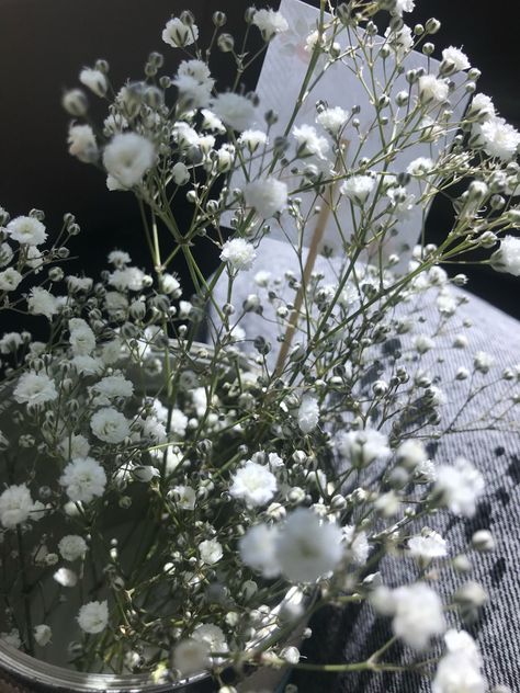 Small White Flowers Aesthetic, Small Bouquet Of Flowers Aesthetic, Small Flowers Aesthetic, White Flowers Names, Pretty White Flowers, White Port, Little White Flowers, Tiny White Flowers, Junior Prom