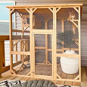 Catio For Cats, Catio Enclosure, Cat Hideout, Cat Area, Wooden Cat House, Multiple Cats, Cat Friends, Chicken Coup, Cat Patio